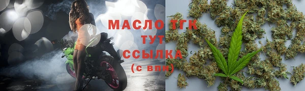 прущие грибы Верея