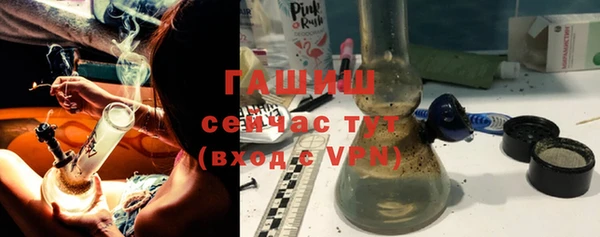 прущие грибы Верея