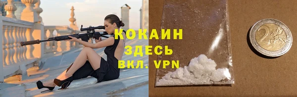 прущие грибы Верея