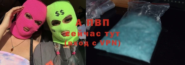стаф Верхний Тагил