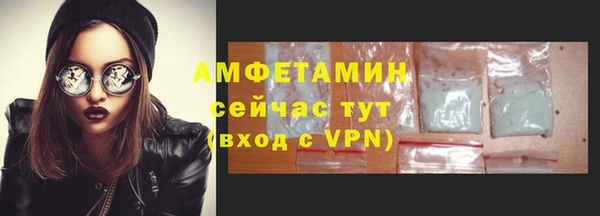 прущие грибы Верея