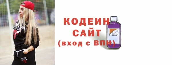 прущие грибы Верея