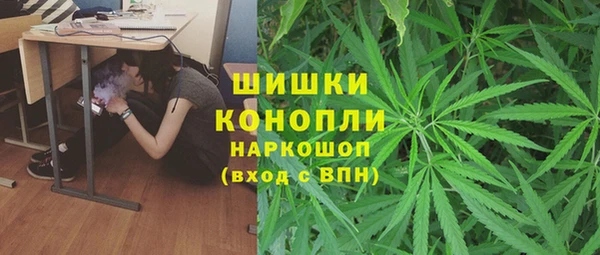 стаф Верхний Тагил