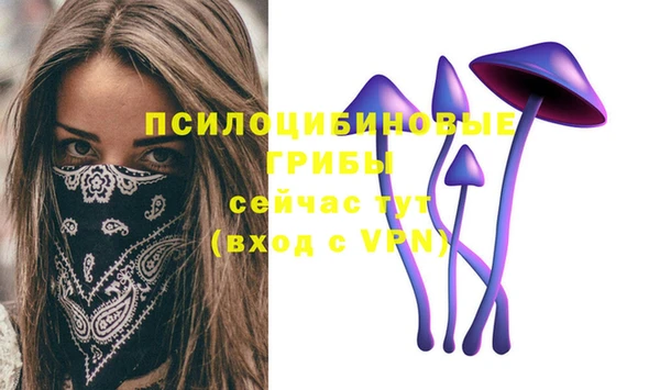 стаф Верхний Тагил