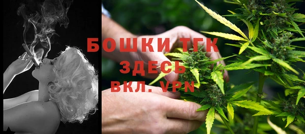 стаф Верхний Тагил