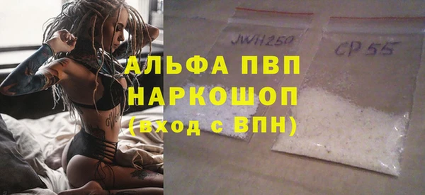прущие грибы Верея