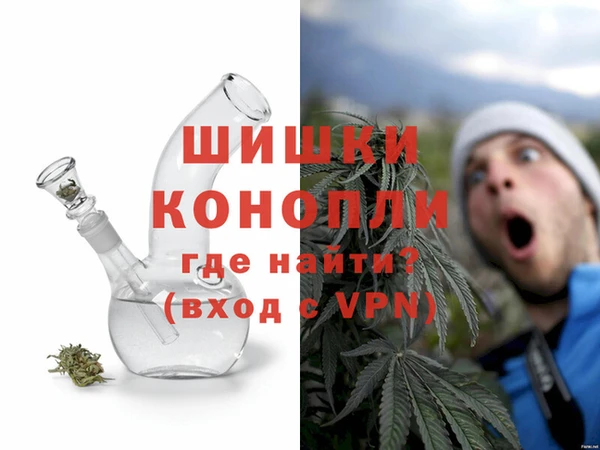 прущие грибы Верея
