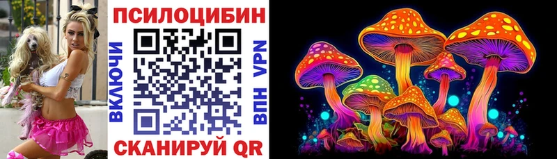 Галлюциногенные грибы Psilocybe  hydra   Новочеркасск 